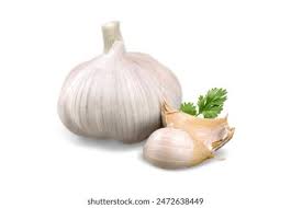 Fresh Garlic